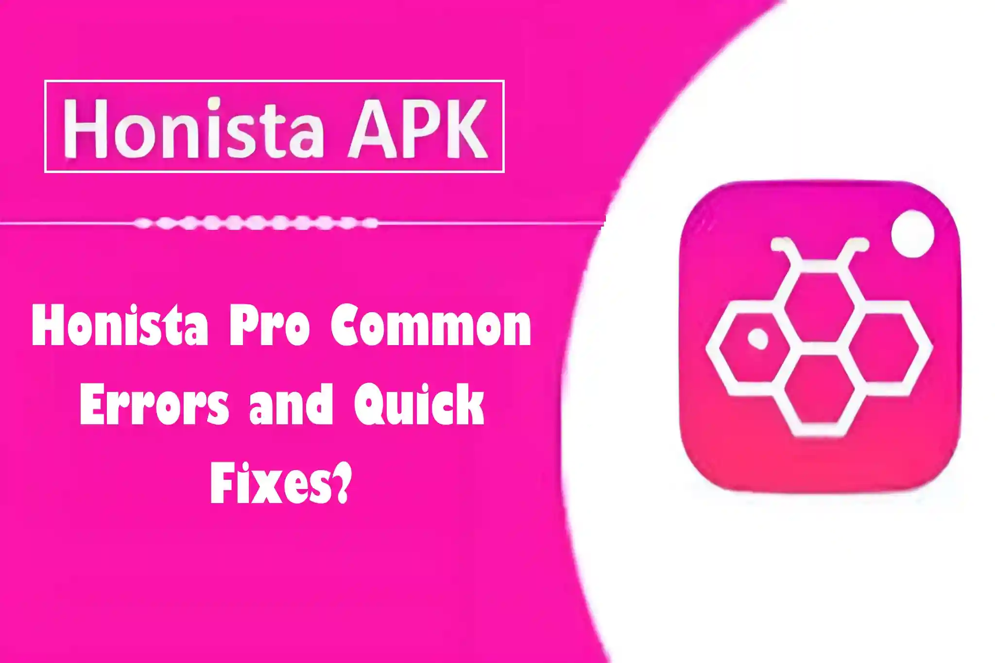 Honista Pro Not Working? Common Errors and Quick Fixes